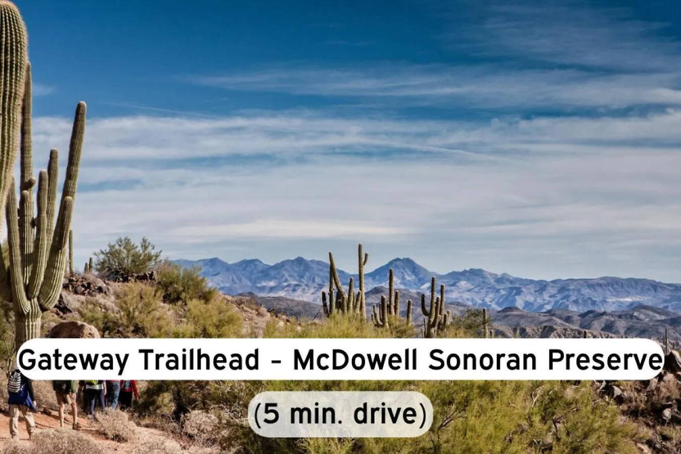 Apartment Pet-Friendly Scottsdale Pool Basketball Court